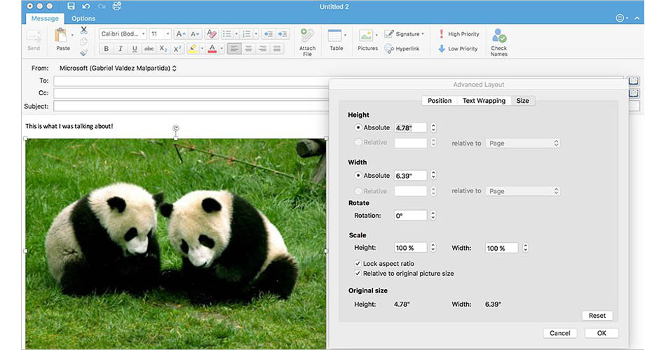 microsoft outlook 2016 update editor