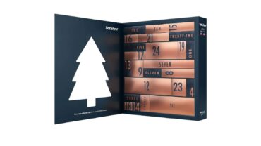 Satisfyer Premium adventskalender 2022