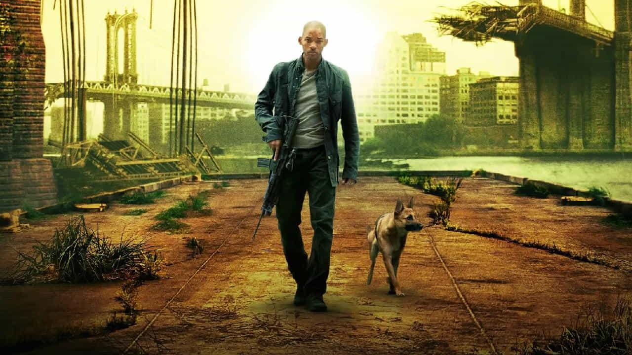 I Am Legend får en uppföljare – med Will Smith i huvudrollen 43 I Am Legend