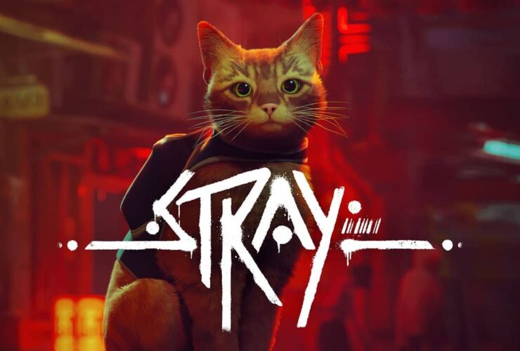 Stray