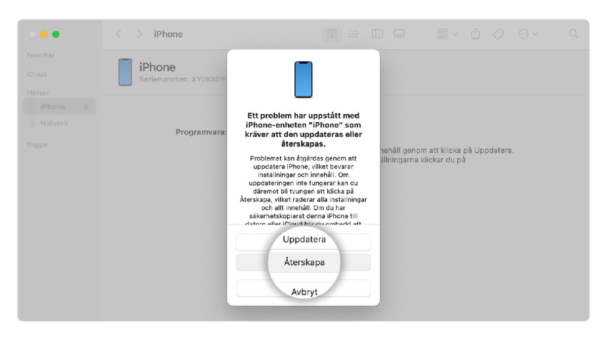 iPhone iTunes återskapa telefon