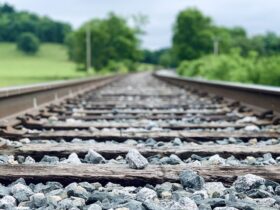 Här är alla deltagarna i På spåret 2025/2026 36 tagrals timwildsmith unsplash