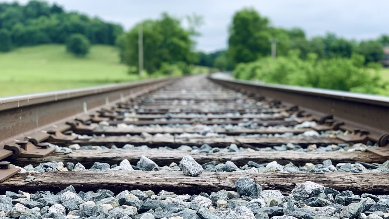 tagrals timwildsmith unsplash