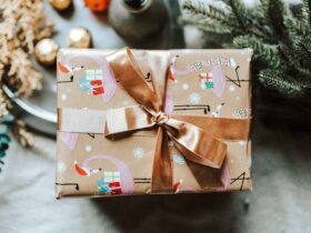 Årets julklapp 2025 är vuxenleksaker 55 julklapp sandra seitamaa unsplash